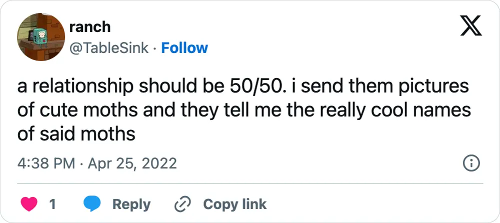 A tweet that says, "a relationship should be 50/50. i send them pictures of cute moths and they tell me the really cool names of said moths"